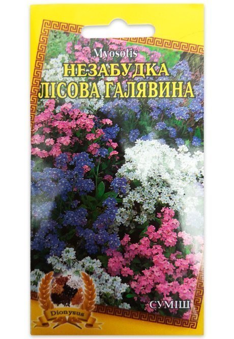 Forget-Me-Not Lesnaya Polyana Flower Seeds, 0.1 g