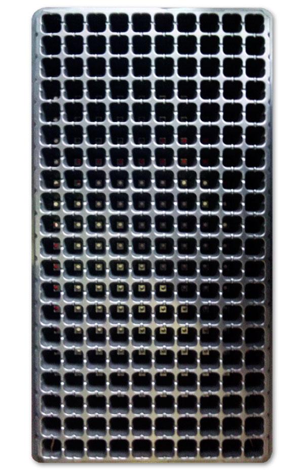 Seedling tray with 200 cells