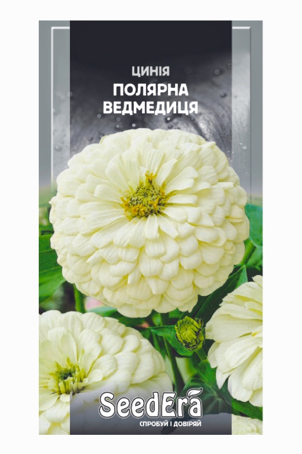 Zinnia Polar Bear Flower Seeds, 0.5 g, Seedera