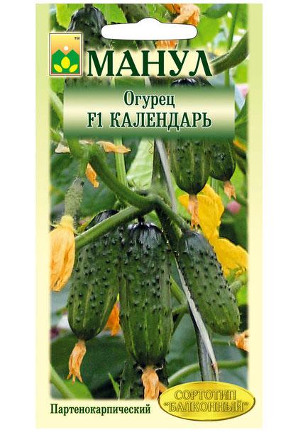 Calendar F1 Cucumber Seeds, 10 seeds