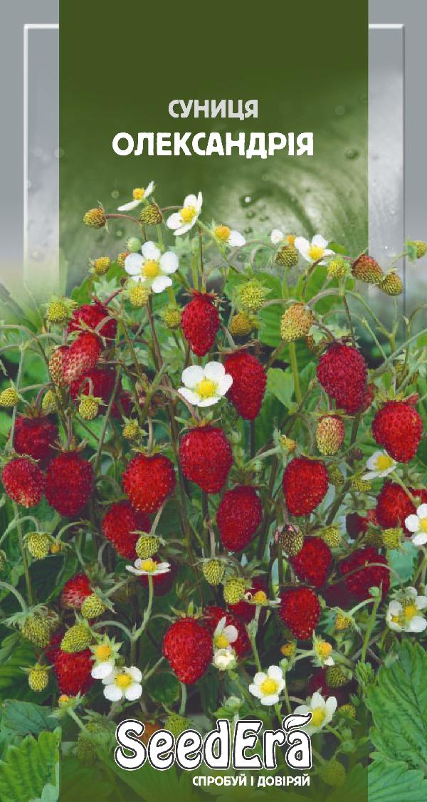 Alexandria strawberry seeds, 0.05 g, Seedera