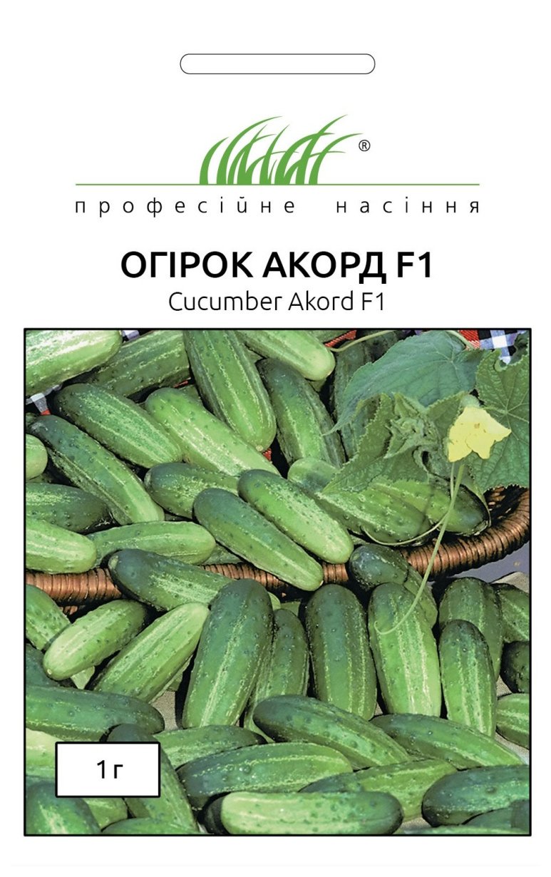 Семена огурца Аккорд F1, 20 семян Bejo Zaden (Голландия)