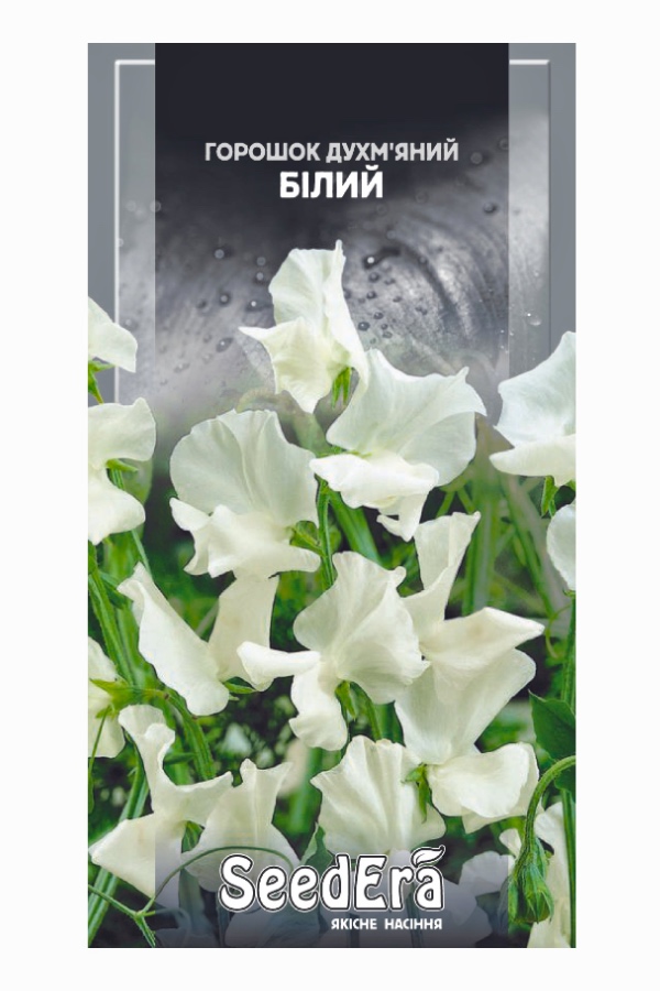 Flower seeds: Sweet Pea White, 1 g, Seedera