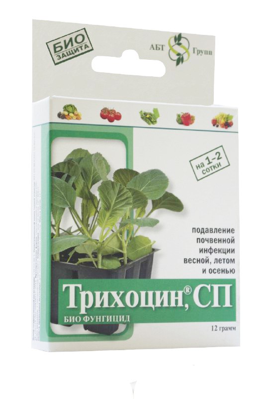 Trichocin 12 g