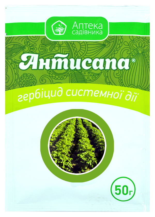 Antisapa 50 g