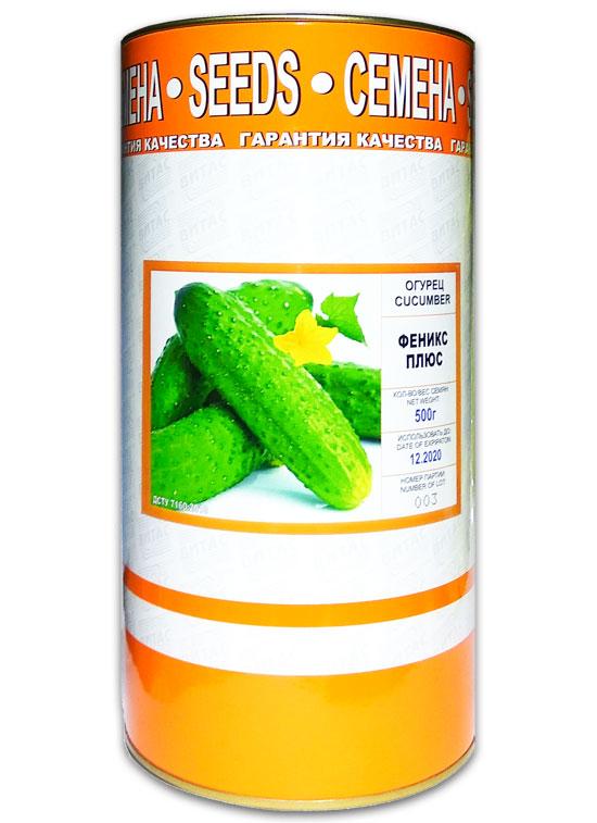 Phoenix Plus cucumber seeds, encrusted, 500 g