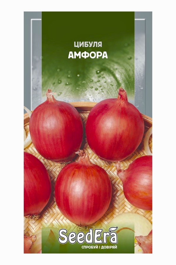 Насіння цибулі Амфора, 1 г, Seedera | Семена лука Амфора, 1 г, Seedera