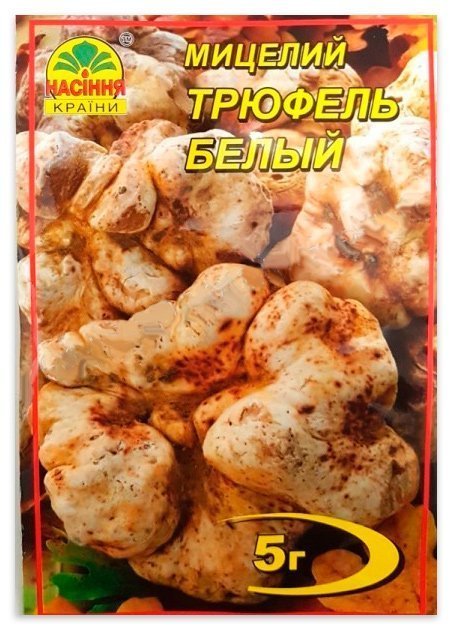 White Truffle Mushroom Mycelium, 5 g