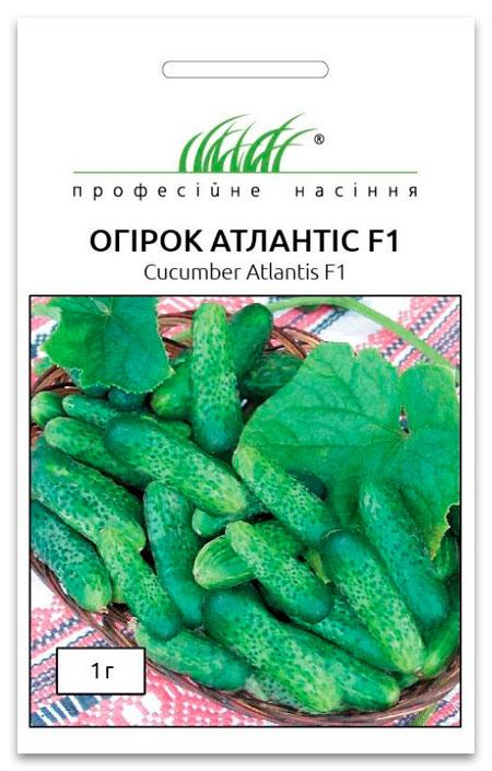 Atlantis F1 Cucumber Seeds, 1 g Bejo Zaden (Netherlands)