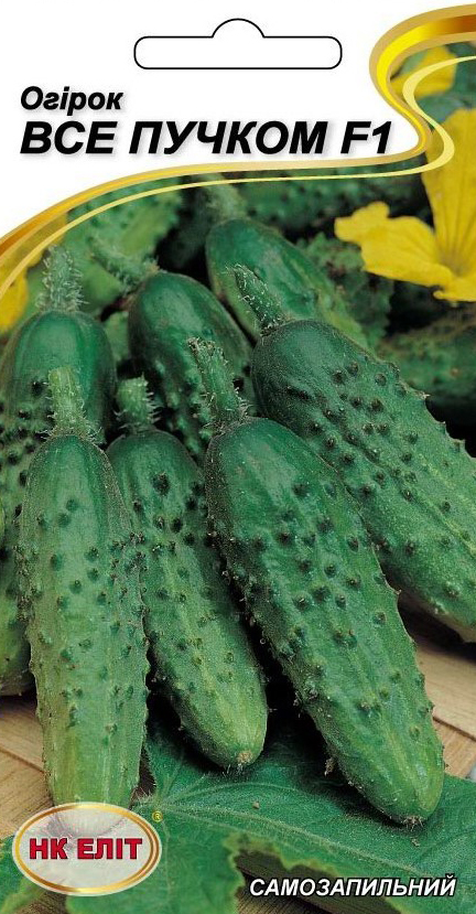 All in a Bundle F1 Cucumber Seeds, 10 pcs