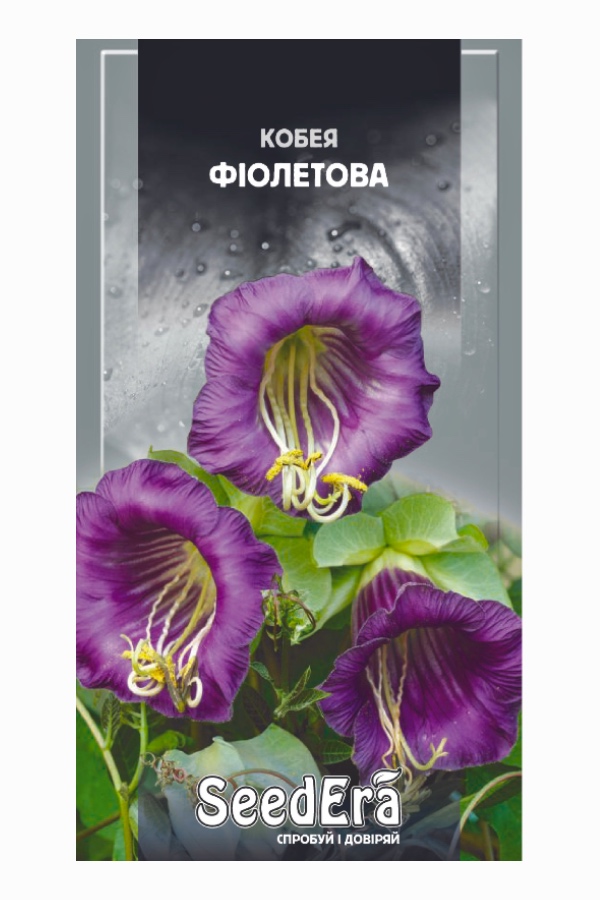 Насіння квітів Кобея Фіолетова, 0.25 г, Seedera | Семена цветов Кобея Фиолетовая, 0,25 г, Seedera