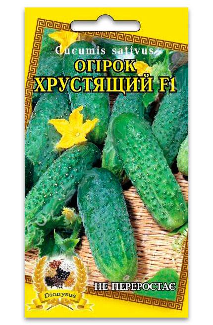 Crunchy F1 Cucumber Seeds, 20 pcs