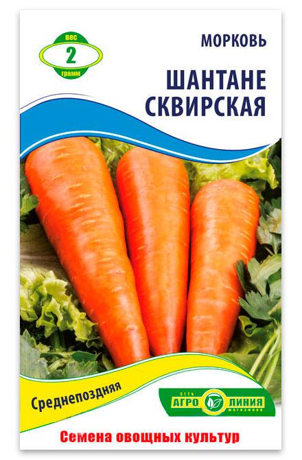 Shantane Skvyrska Carrot Seeds, 2 g