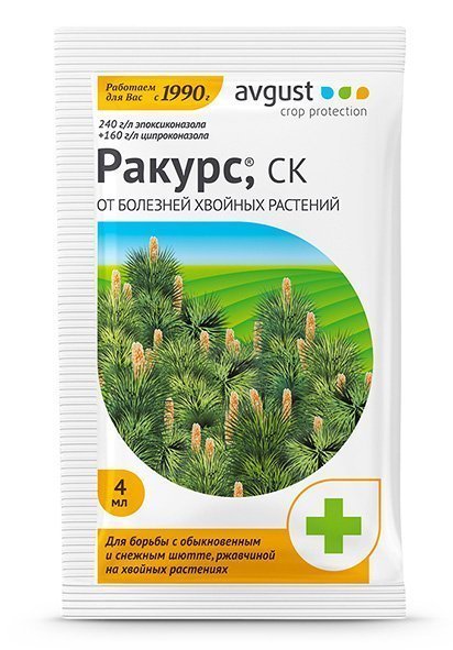 Rakurs 4 ml
