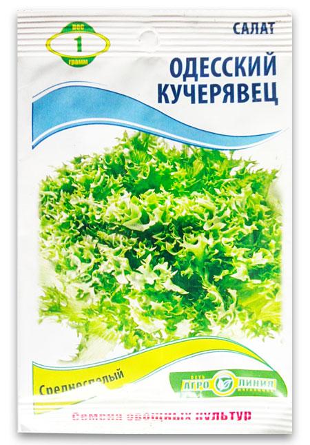 Odessa Kucheryavets Lettuce Seeds, 1 g.