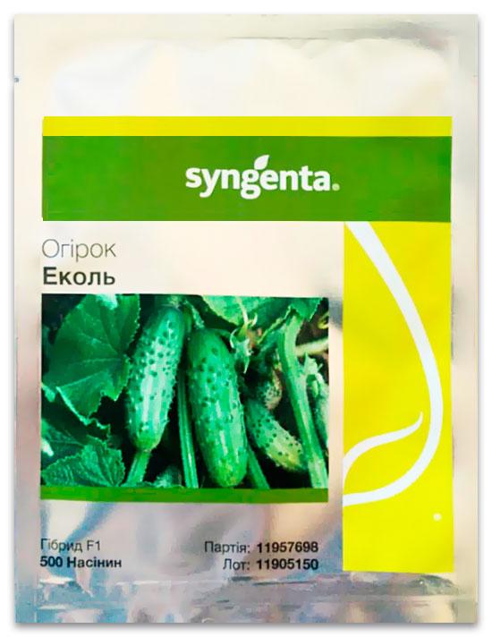 Ecol F1 Cucumber Seeds, 500 seeds, Syngenta (Netherlands)