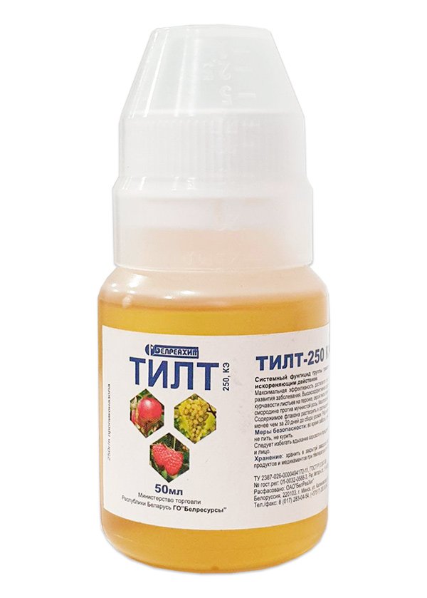 Tilt 50 ml