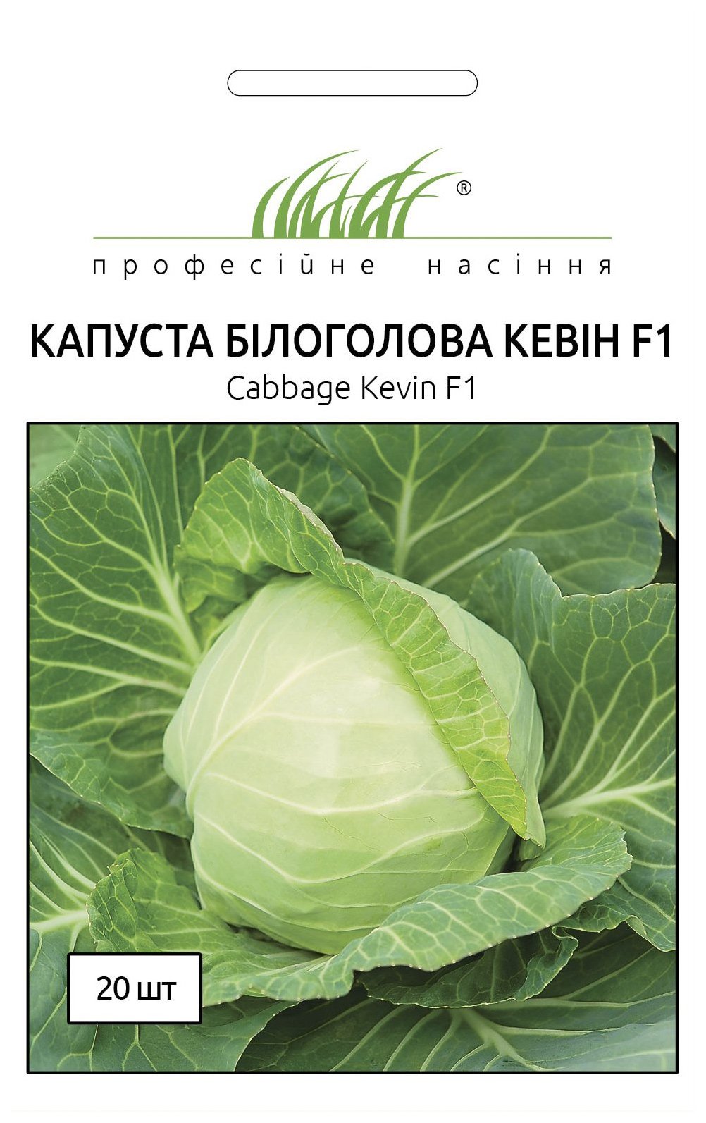 Kevin F1 Cabbage Seeds, 20 seeds Syngenta (Netherlands)