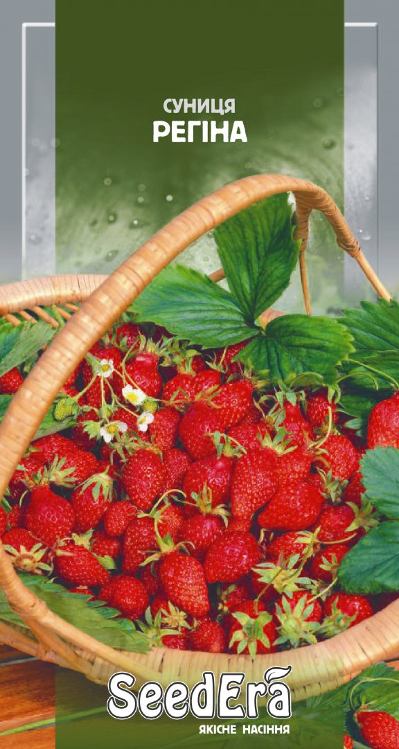 Regina strawberry seeds, 0.05 g, Seedera