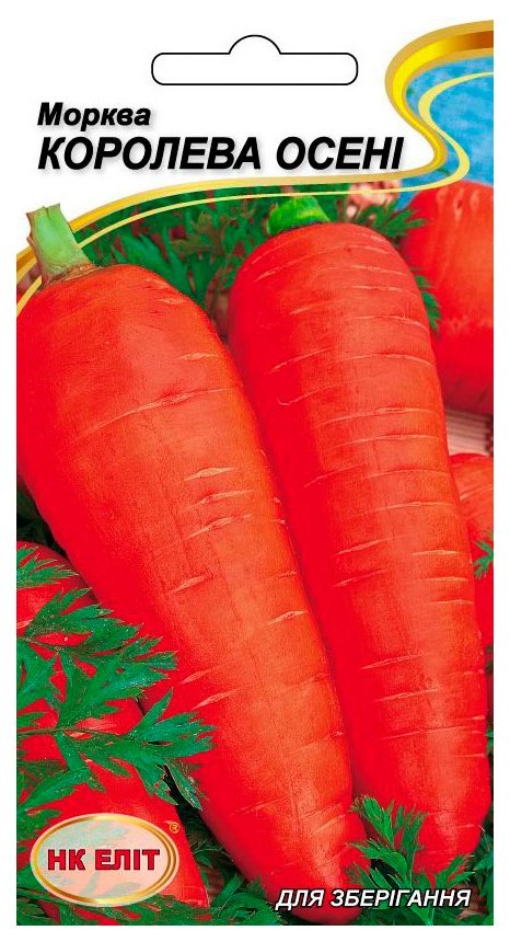 Queen of Autumn Carrot Seeds, 2 g