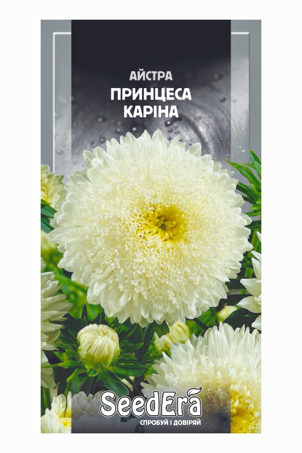 Aster Princess Karina Flower Seeds, 0.25 g, Seedera