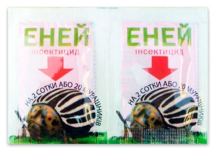 Эней 1 г