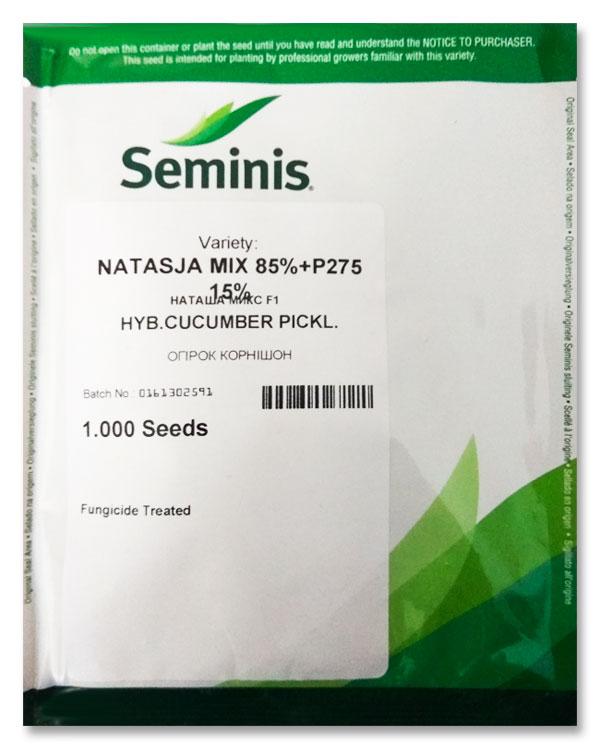 Семена Огурца Наташа  F1 , 1000 семян Seminis  (Голландия)