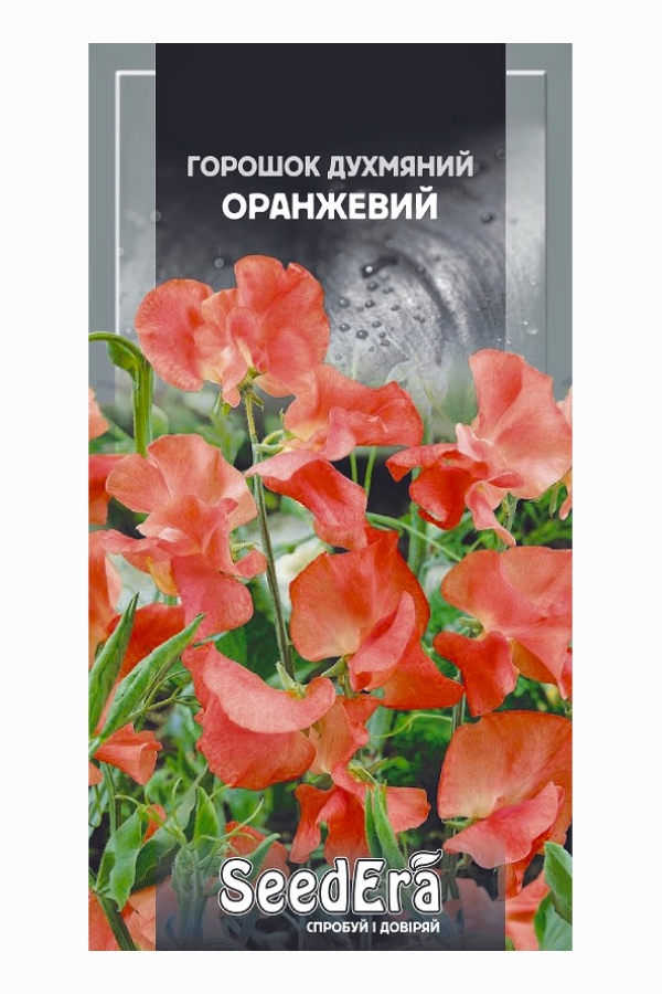 Насіння квітів Горошок Духмяний Оранжевий , 1 г, Seedera | Семена цветов Горошек Душистый Оранжевый, 1 г, Seedera