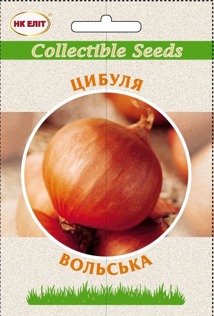 Volsky onion seeds, 10 g