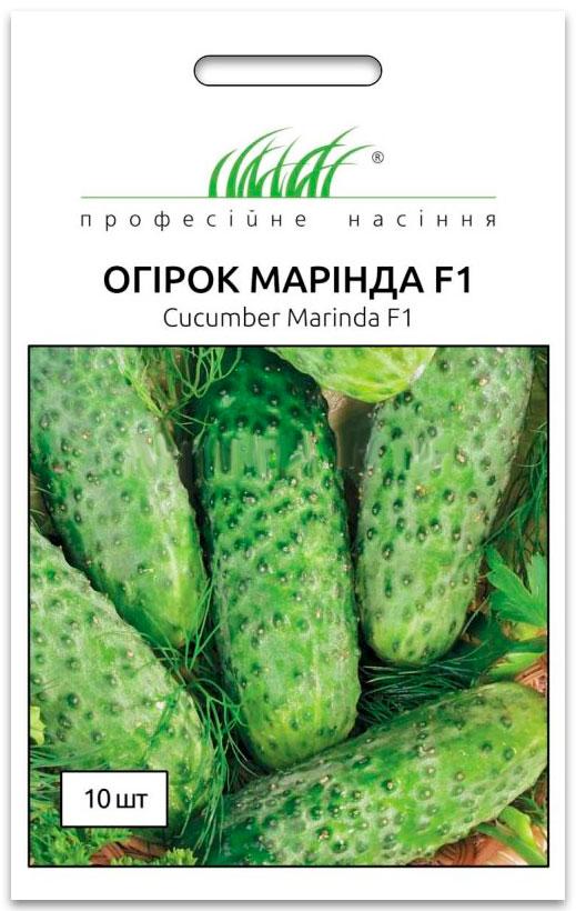 Семена огурца Маринда F1, 10 семян Seminis (Голландия)
