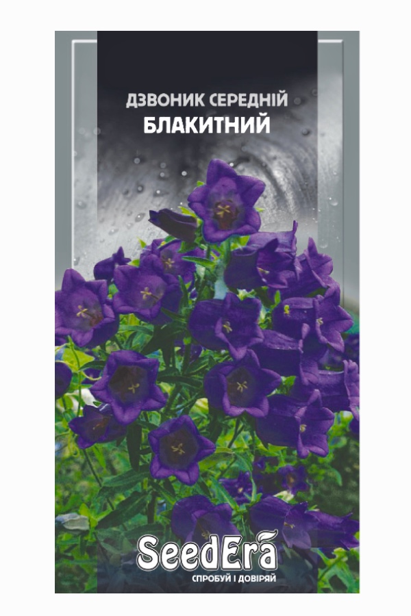 Насіння квітів Дзвіночок Середній Блакитний, 0.2 г, Seedera | Семена цветов Колокольчик Средний Голубой, 0.2 г, Seedera