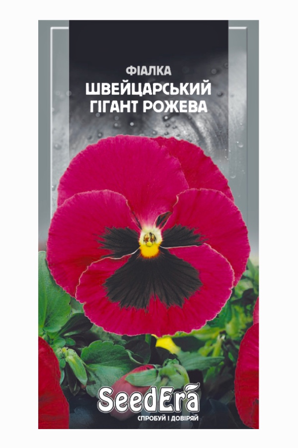 Насіння квітів Фіалка Швейцарський Гігант Рожева, 0.1 г, Seedera | Семена цветов Фиалка Швейцарский Гигант Розовая, 0.1 г, Seedera