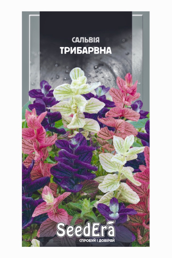 Насіння квітів Сальвія Трибарвна, 0.2 г, Seedera | Семена цветов Сальвия Трехцветная, 0,2 г, Seedera