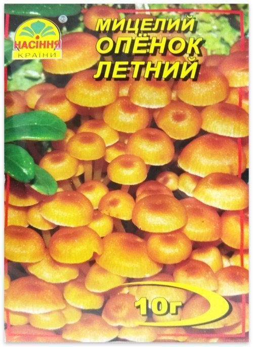 Мицелий гриба Опенок Летний, 10 г