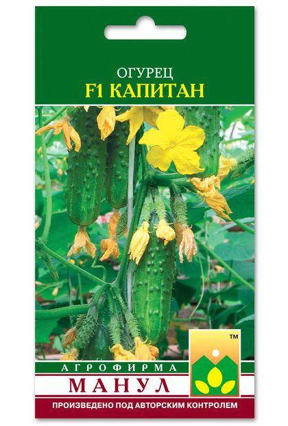 Captain F1 Cucumber Seeds, 10 seeds