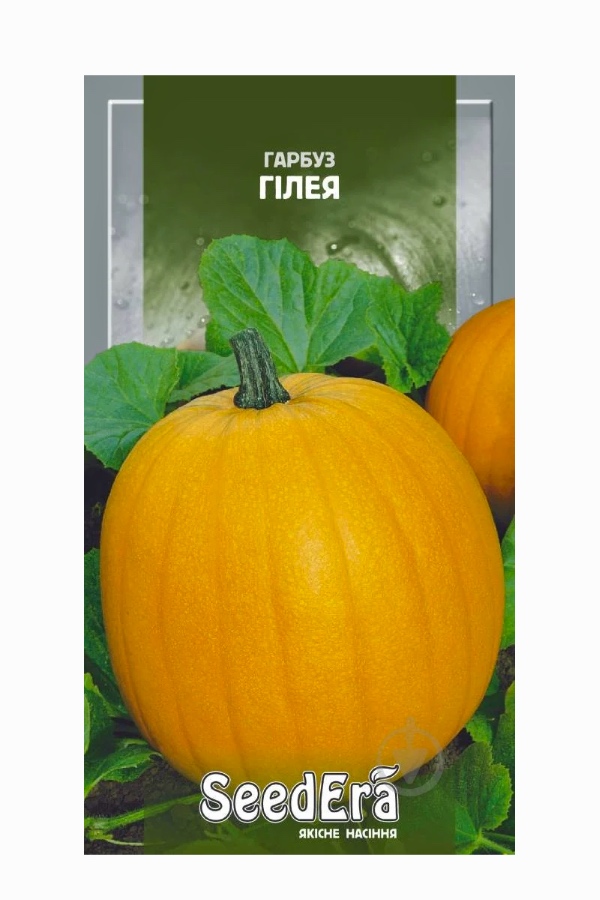 Насіння гарбуза Гілея, 3 г, Seedera | Семена тыквы Гилея, 3 г, Seedera
