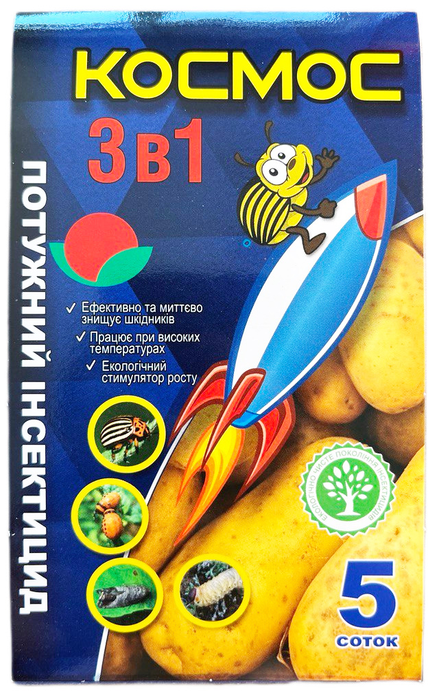 6   2 