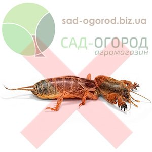 Засоби захисту від капустянки