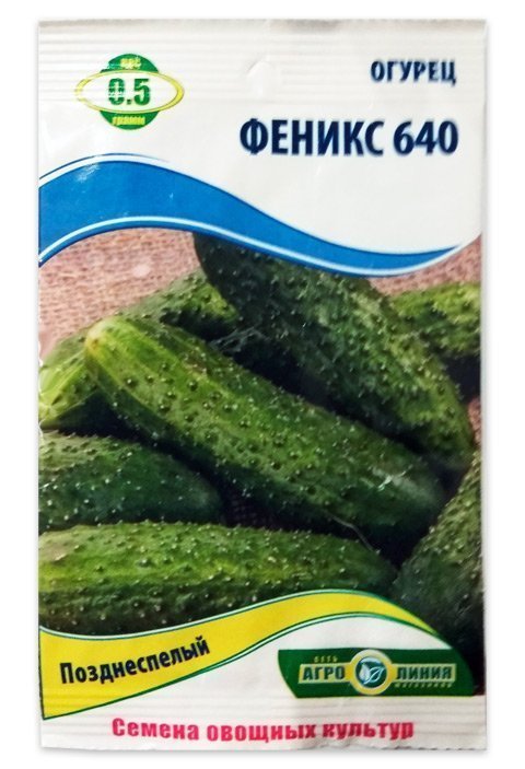 Phoenix 640 Cucumber Seeds, 0.5 g