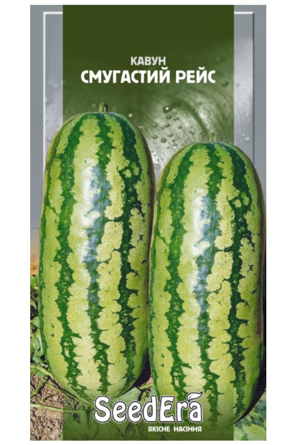 Striped Reis Watermelon Seeds, 1 g, Seedera