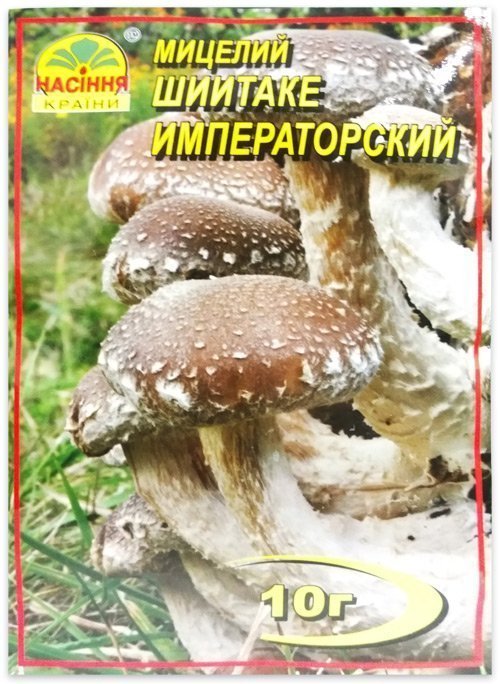 Мицелий гриба Шиитаке Императорский, 10 г