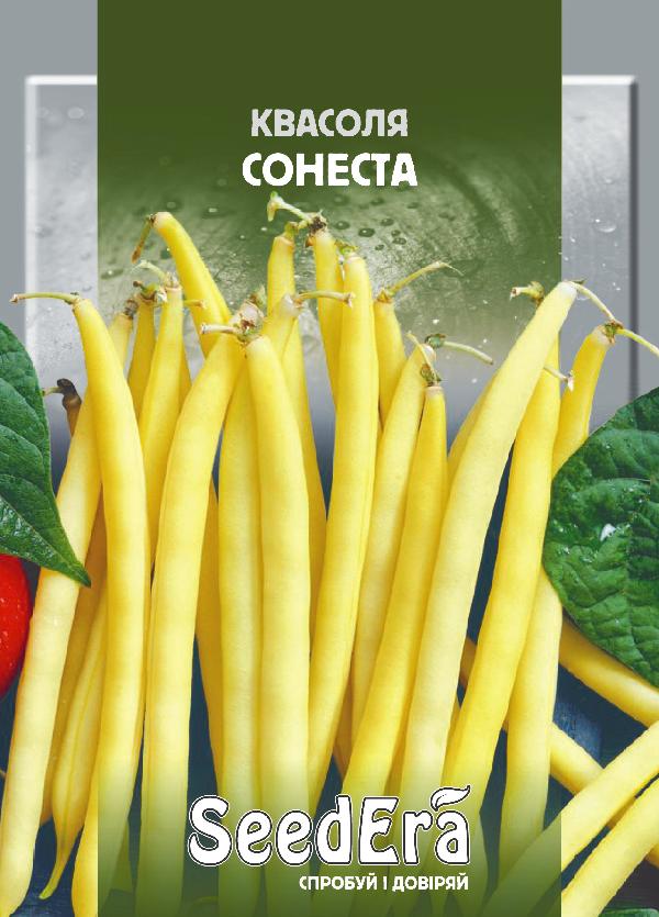 Sonesta F1 bush green bean seeds, 20 g, Seedera
