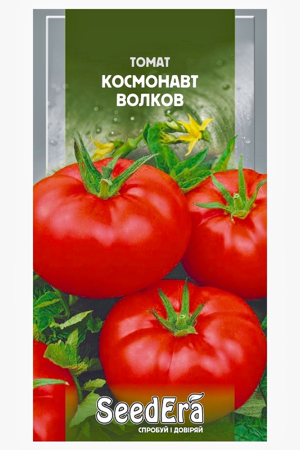 Cosmonaut Volkov tomato seeds, 0.1 g, Seedera