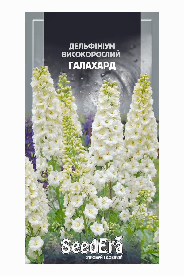 Насіння квітів Дельфініум Високорослий Галахард, 0.1 г, Seedera | Семена цветов Дельфиниум Высокорослый Галахард, 0.1 г, Seedera