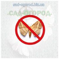 Засоби захисту від молі