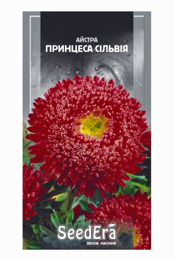 Aster Princess Sylvia Flower Seeds, 0.25 g, Seedera