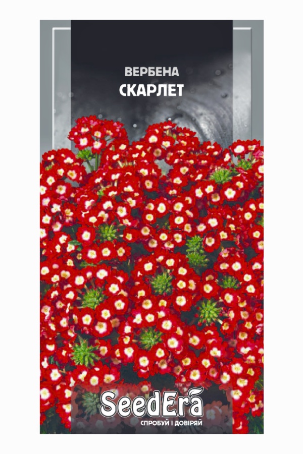 Насіння квітів Вербена Скарлет, 0.2 г, Seedera | Семена цветов Вербена Скарлет, 0.2 г, Seedera