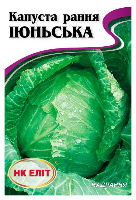 Насіння капусти Іюнська, 5 г | Семена капусты Июньская, 5 г