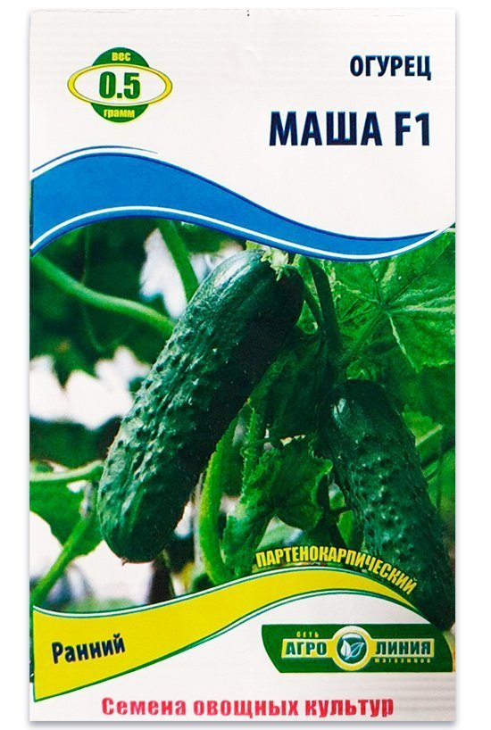 Masha F1 Cucumber Seeds, 0.5 g