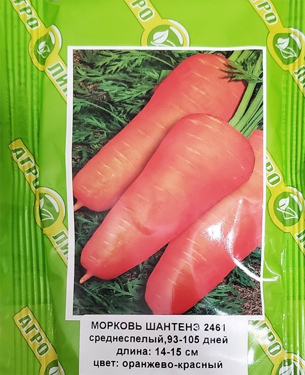 Морква Шантане 2461, 50 г | Морковь Шантане 2461, 50 г